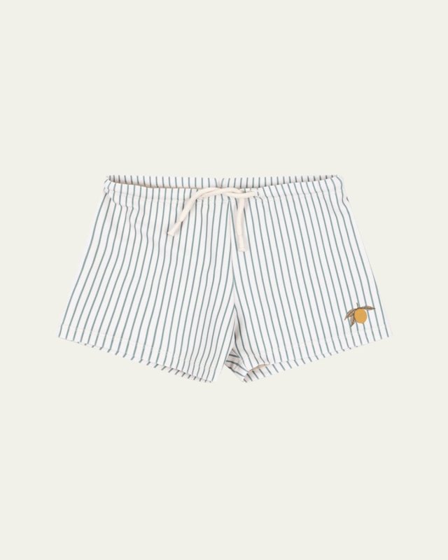 Boy's Aster Striped Swim Trunks, Size 12M